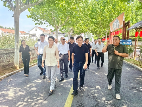 区政协开展“以文化为媒，绘制槐荫乡村振兴新画卷”商量调研活动