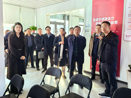 区政协与玉清湖街道开展“党建引领·同心奋进”发挥党员委员先锋作用活动暨提案选题座谈会