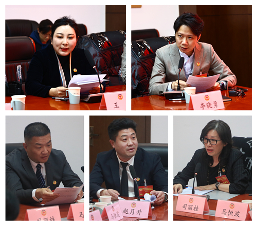 孙常建参加区政协工商联、文化艺术和医药卫生界别联组讨论