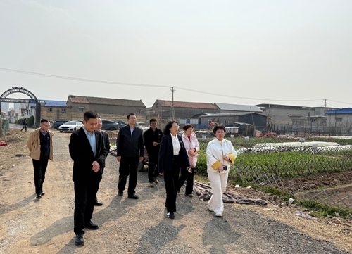 区政协农业和农村委员会开展新型农村集体经济发展情况调研